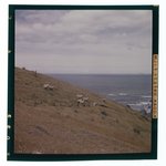 [Untitled]