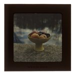 [Untitled]