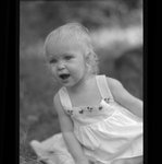 [Untitled]