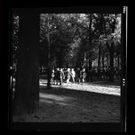 [Untitled]