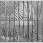 Cage-Central Park Zoo