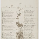 S. Zita