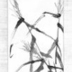 Crab and Reeds