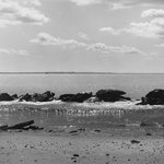 Seagate
