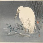 White Heron at Waters Edge