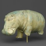 Hippopotamus
