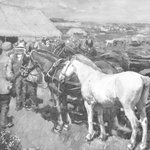 Market Day