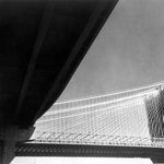 [Untitled]