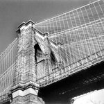 [Untitled]