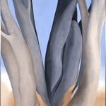 Dark Tree Trunks