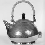 Electric Tea and Hot - Water Kettle with Lid