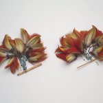 Pair of Ear Ornaments