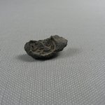 Seal Impression