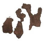 Dress Fragments