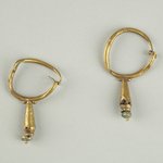Pair of Earrings