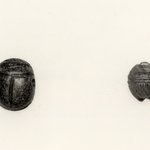 Gem of Scarab Form