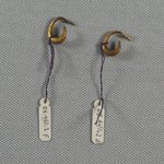 Pair of Earrings