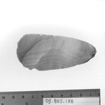Large Oval Scraper
