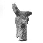 Head of a Cow
