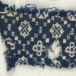 Plain Cloth With Brocade Weave