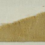 Specimen of Woolen Weave
