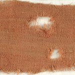 Specimen of Woolen Weave