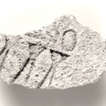Fragment of Sunk Relief