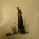 Larz Anderson Park, Brookline