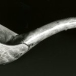 Spoon, Yue Ware