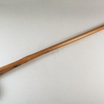 Walking Stick