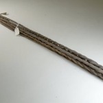 Whip (Chicotte)