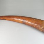 Horn