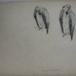 Vultures