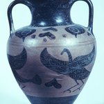 Amphora