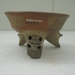 Dish