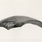 Fragment from Body of Small Vase