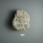 Small Lump of Plaster with Black Ink Inscription
