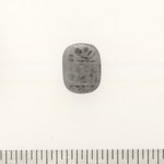 Scaraboid Seal