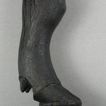 Leg from a Piece of Furniture
