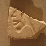 Fragment of Mold