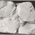 Block with the Head of a Bull in Sunk Relief