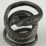 Coiled Serpent