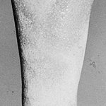 Uninscribed Ushabti