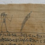 Mummy Bandage, Ii-em-hetep, born of Ta-remetj-hepu