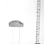 Heart Scarab of the Priest Payi