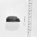 Heart Scarab