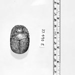 Heart Scarab