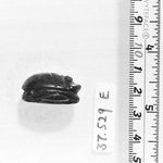 Heart Scarab