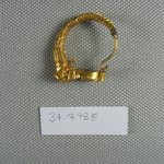 Broken Earring with Calfs Head?