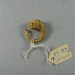 Ornate Earring with Lions Head